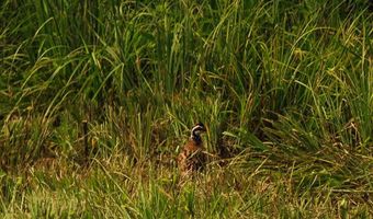 1037 Cr 300, Big Creek, MS 38914