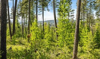 186 Trading Post Trl, Bigfork, MT 59911