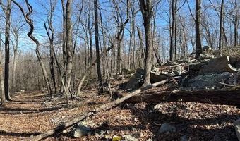 2 08 ACRES DEER PATH Rd, Augusta, WV 26704