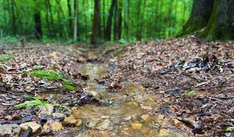 52 Penny Creek Rd, Abbeville, SC 29620