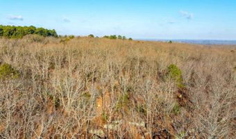 TBD Castle Drive, Batesville, AR 72501