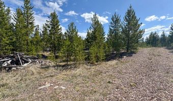 NHN Herring Flats Road, Anaconda, MT 59711