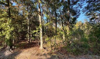 Sycamore Street, Bay St. Louis, MS 39520