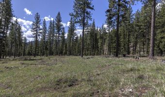 Nhn Mountain Vista Lane, Alberton, MT 59820