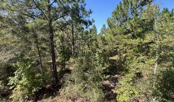 0 John S Horton, Adrian, GA 31002