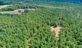 10651 Murry Ln, Vivian, LA 71082