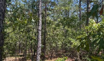 001 West Rd, Bethune, SC 29009