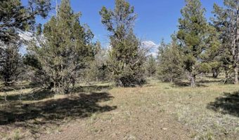 Hilltop Lane, Alturas, CA 96101