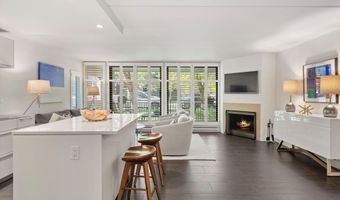 800 E Hopkins Ave A-3, Aspen, CO 81611