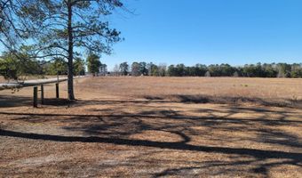 TBD Hwy 385 & Family Farm Rd, Bennettsville, SC 29512