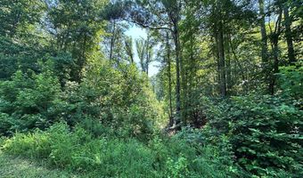 George Green Rd, Tallapoosa, GA 30176