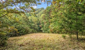 19 Woodchuck Cove Way, Alexander, NC 28701