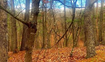 SPITZ Lane, Basye, VA 22810