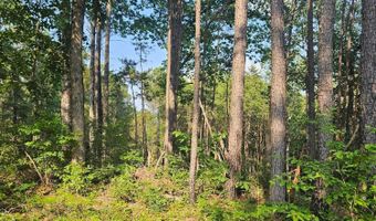 0 CO RD 3973, Arley, AL 35541