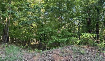 0 DAVIS ACRES Dr 72 & 73, Alpine, AL 35014