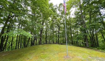88 Angus Rd, Anawalt, WV 24808