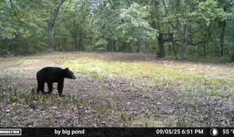 Co Rd 321 Route 5, Ava, MO 65608