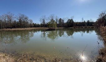 439 WILD ROSE Trl, Ashville, AL 35953