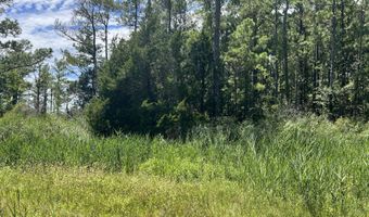 9918 Canady Landing Rd, Aurora, NC 27806