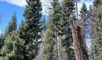 4558 Middle Mountain Rd, Bayfield, CO 81122