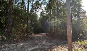 216 Forest Lk, Beaumont, MS 39423