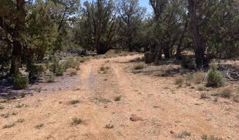 00 Off Of Rainy Rd, Ash Fork, AZ 86320