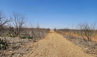 12929 County Road 356, Anson, TX 79501