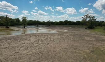 Jenkins Road, Alligator, MS 38720