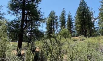 245 Redding Way 226, Carson City, NV 89705