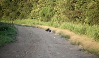 Bolivar Road, Benoit, MS 38725