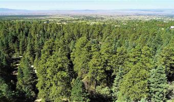 53 Paw A Suki, Arroyo Seco, NM 87514