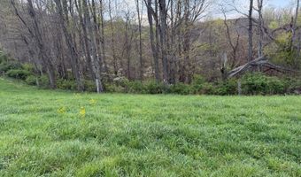 1999 Snake Run Rd, Alderson, WV 24910