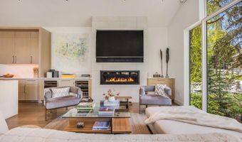 100 Park Ave, Aspen, CO 81611