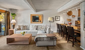 131 E Durant Ave 202, Aspen, CO 81611