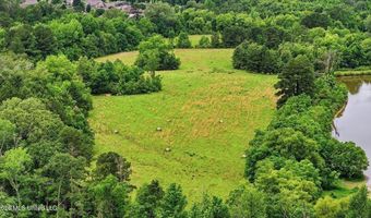 Vine Drive, Brandon, MS 39047