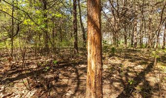 TBD 194th Avenue, Argyle, IA 52619