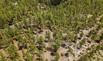 98 County Road 2266, Alpine, AZ 85920