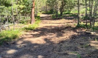 1825 Copper Cliff Dr, Bonner, MT 59823