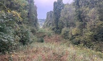 4 Salem Ridge Rd, Aurora, IN 47001