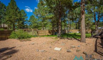 151 Alto Pines Trl, Alto, NM 88312