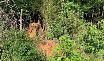 Rock House Road, Blacksburg, SC 29702