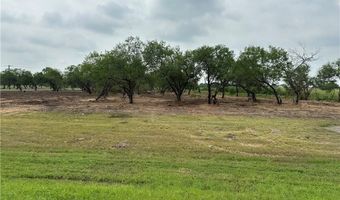 E Hwy 44 x CR 341 lot 0, Alice, TX 78332