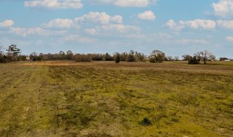 Tbd County Road 4903, Athens, TX 75751