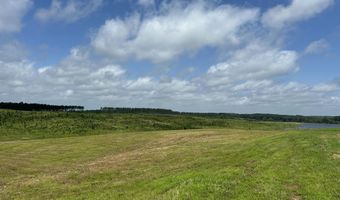 0 Otis Paine Rd, Bethel Springs, TN 38315