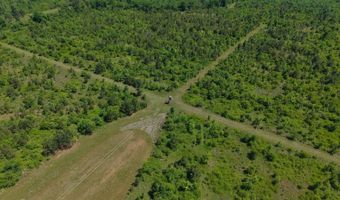 County Road 38, Autaugaville, AL 36003