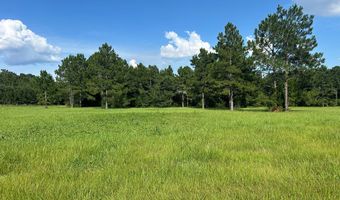 12283 US 84, Ashford, AL 36312