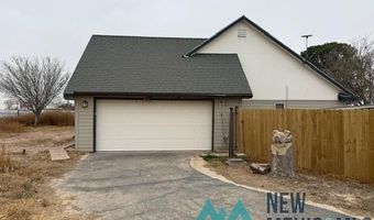 3307 S Tidwell Rd, Carlsbad, NM 88220