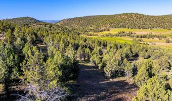 737 Raccoon Ln, Alturas, CA 96101