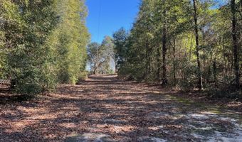 5894 Jasper Rd, Bascom, FL 32423