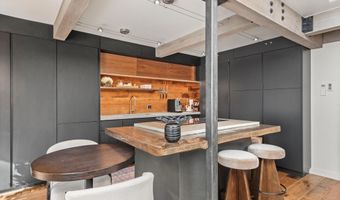 1024 E Cooper Ave 1, Aspen, CO 81611